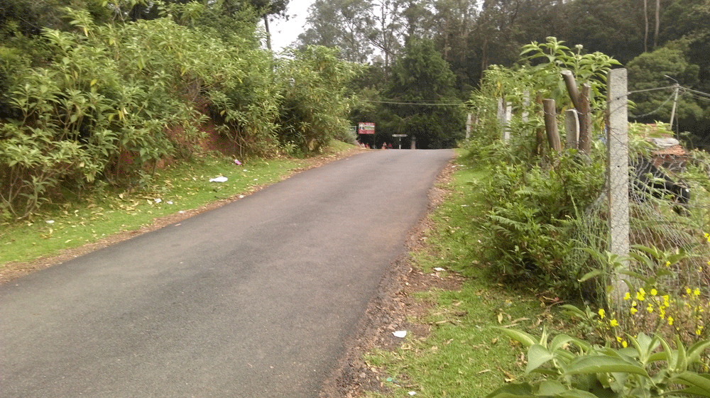 9 Acre land for sale in Ooty